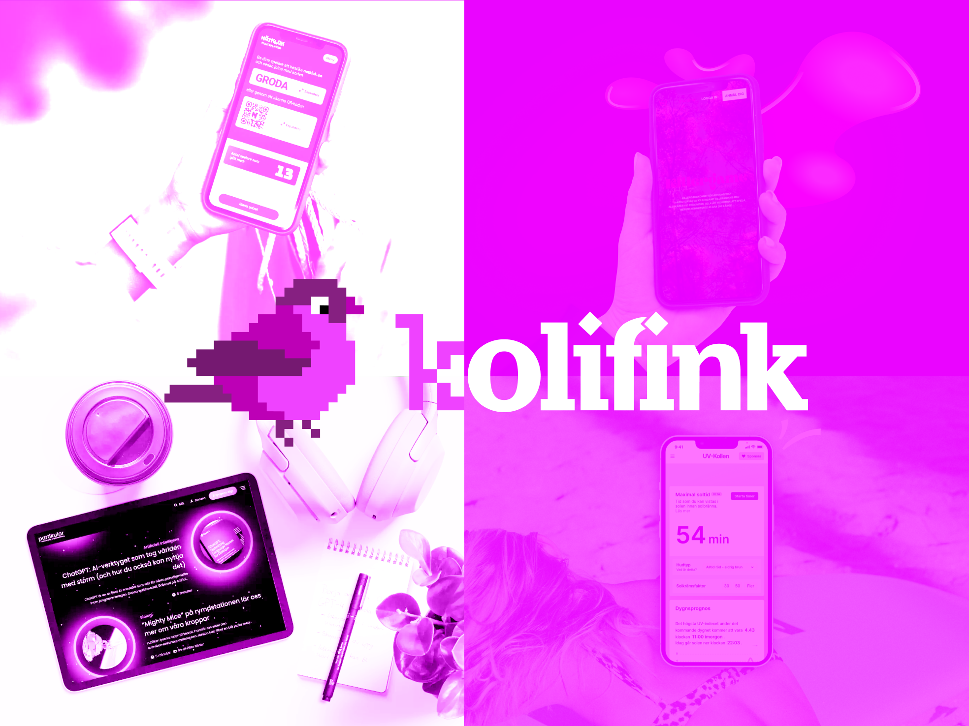 Kolifink – my sole proprietorship specialized in secure web development